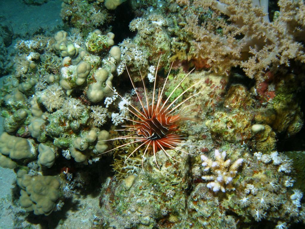 Леонид Сандалов | Санкт-Петербург