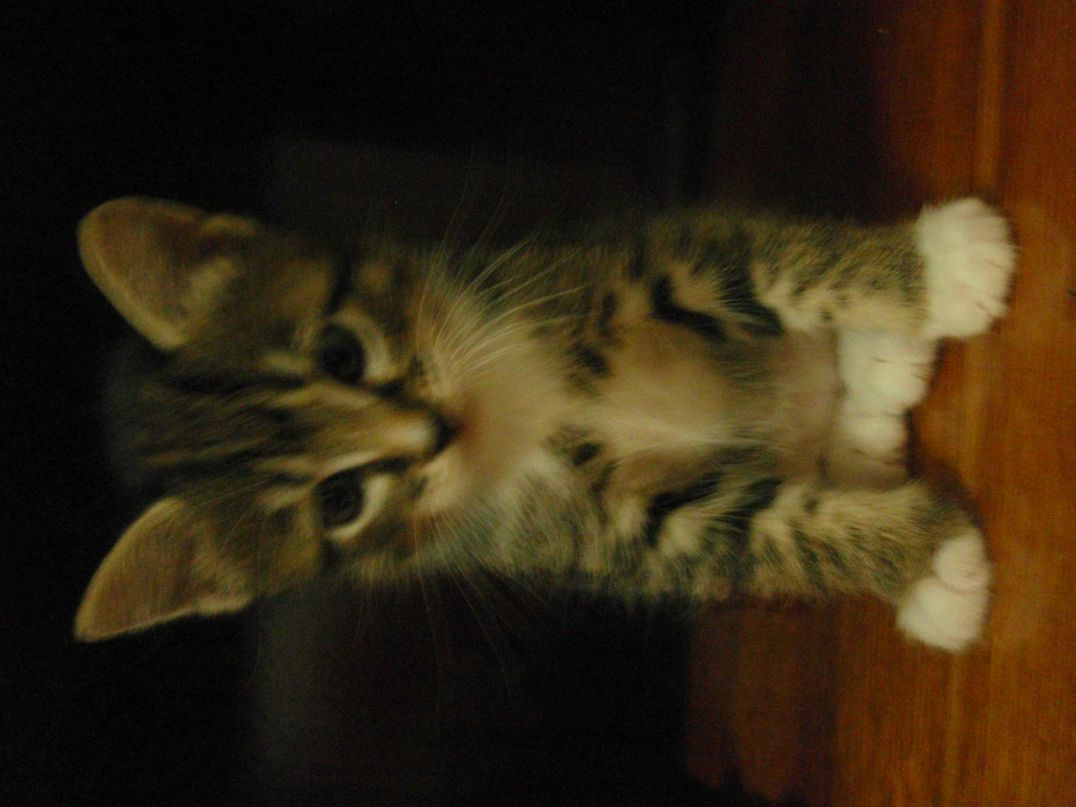 Михаил Нэлин Полковник | Хабаровск