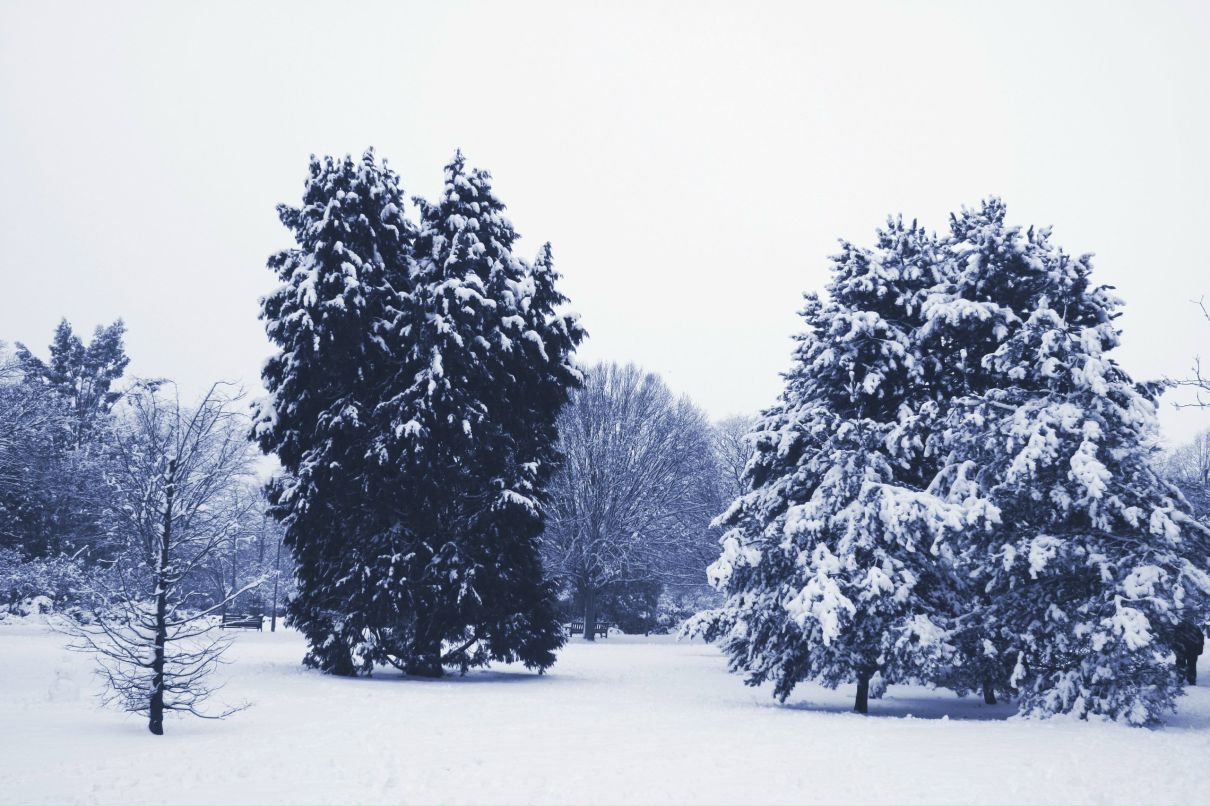 Irina Bairamian | London