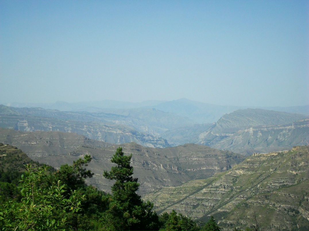 Мурад Магомедов /espan/ | Махачкала