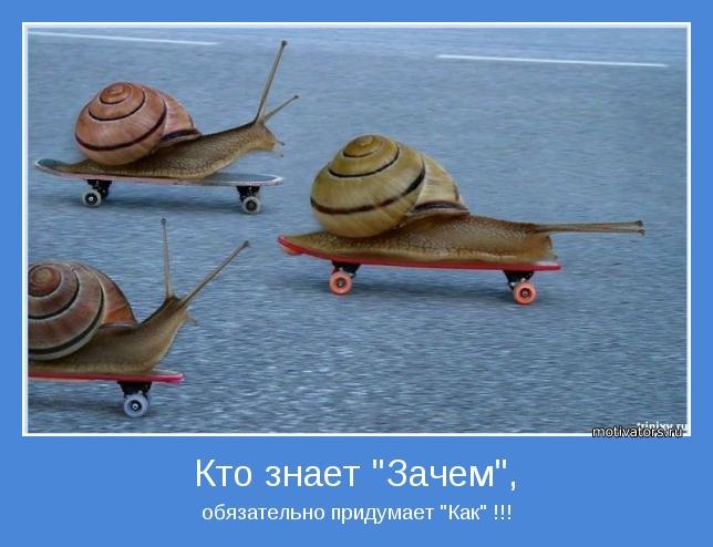 Алёна Серт | Липецк