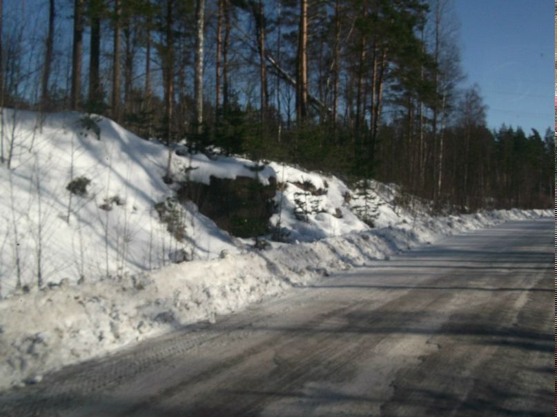 Данила Колюк | Санкт-Петербург