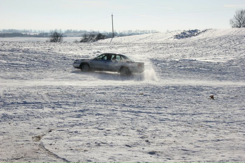 Роман Несвитеев | Калининград