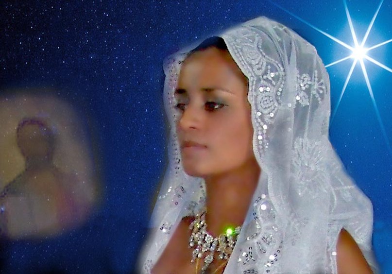 Элла Тимченко | Киев