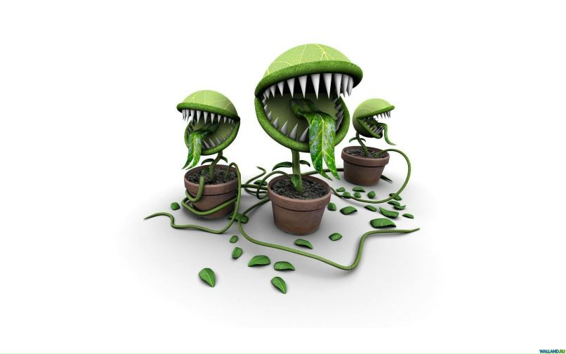 Юлия Федотова | Москва