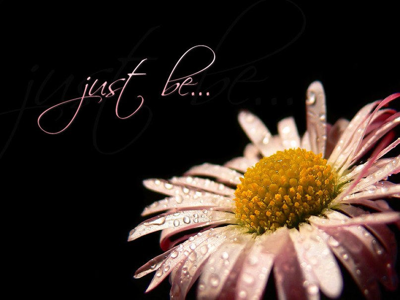 Андрей Месхи | Сарны