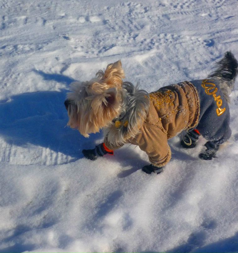 Елена Богданова Олеговна | Санкт-Петербург