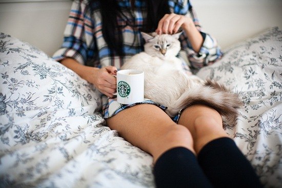 Регина Чиркова | 