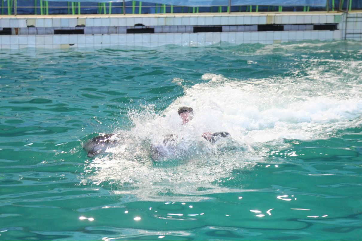 Вадим Петров | Санкт-Петербург