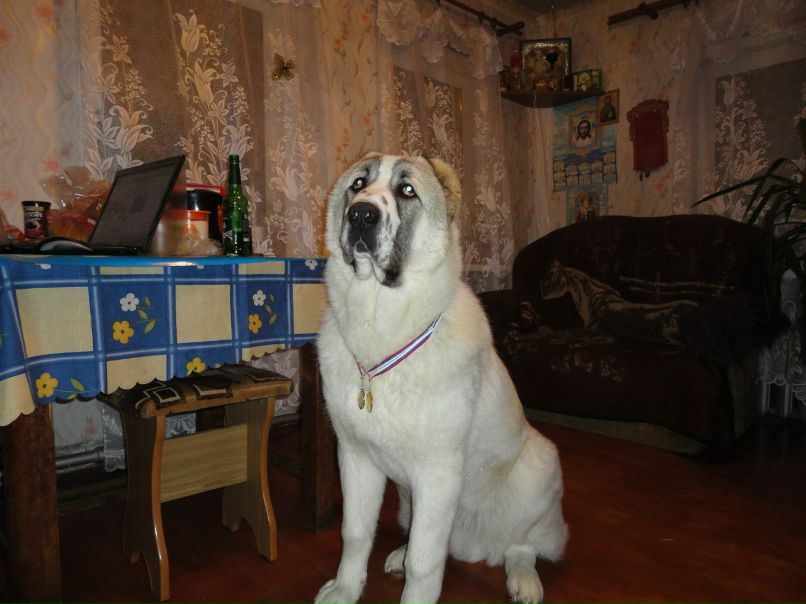 Наташа Копылова | Ногинск