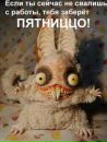 Фотография Настя Логинова