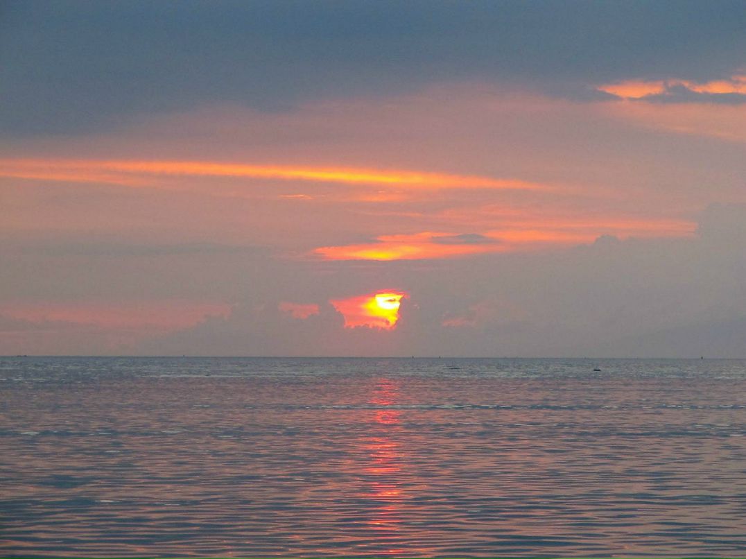 Татьяна Солнцева | 