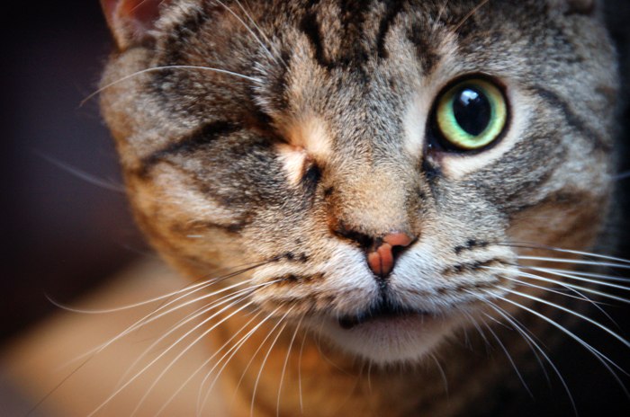 Артемий Медянцев | Новосибирск