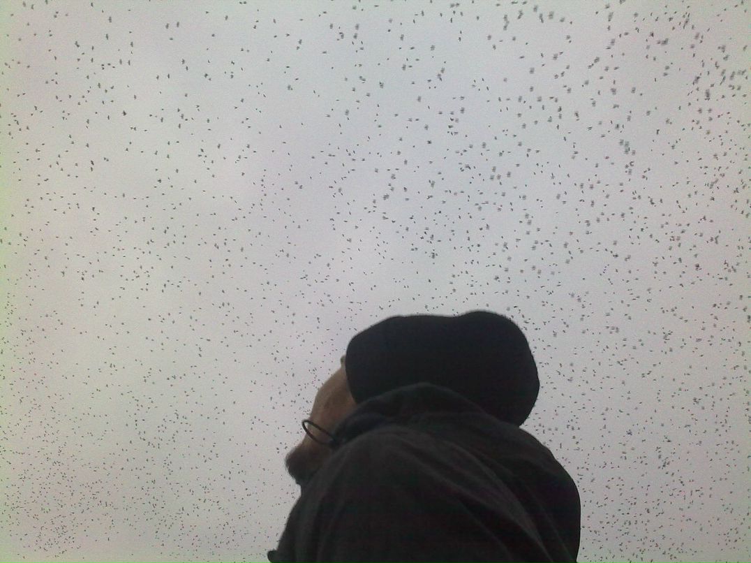 Андрей Тополя † | Николаев