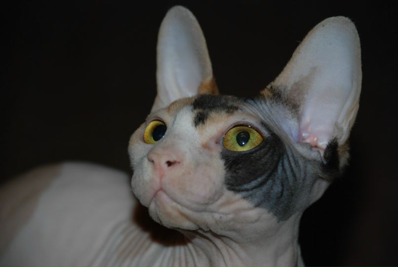 Anna Yanchuk ·٠•●๑ ۩★Loft★ ۩๑●•٠· | Phuket