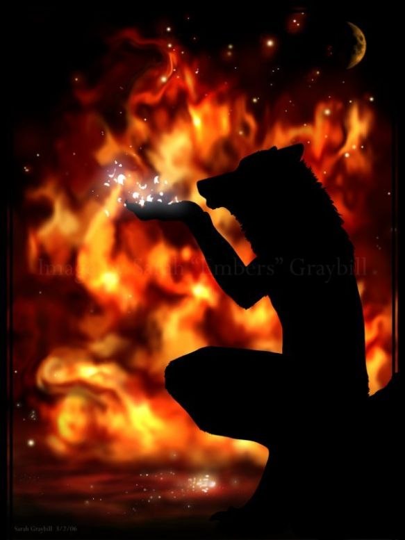 Алёна Котегова | Санкт-Петербург