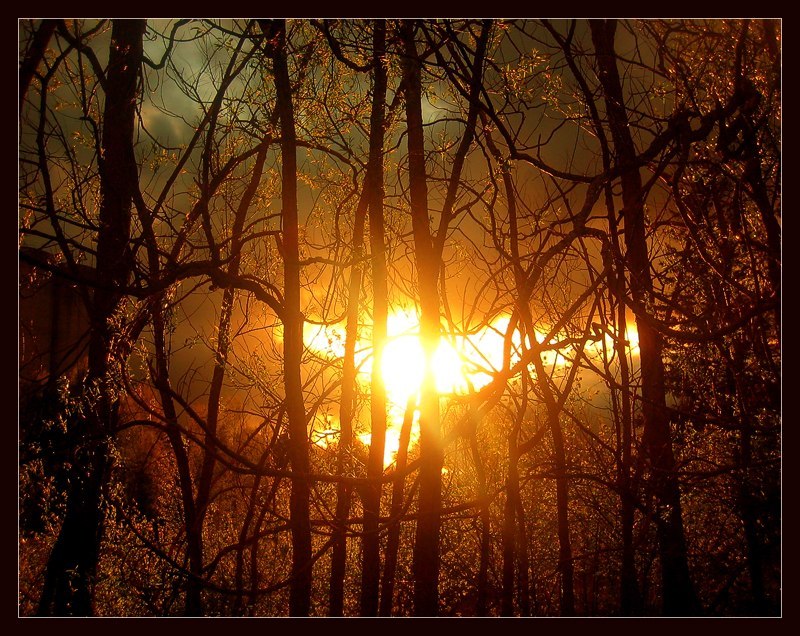 Нико Беличь | Москва