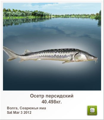 Максим Симаков | Москва