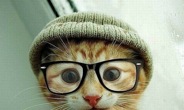 Анна Кистерова | Великий Новгород