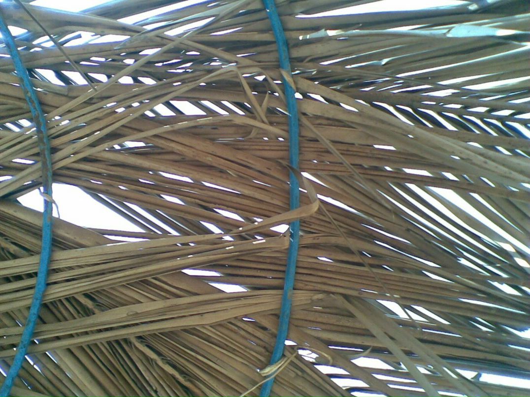 Александра Сашнева | Москва