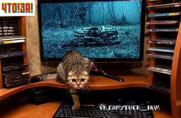 Елена Манцветова ♥ | Москва