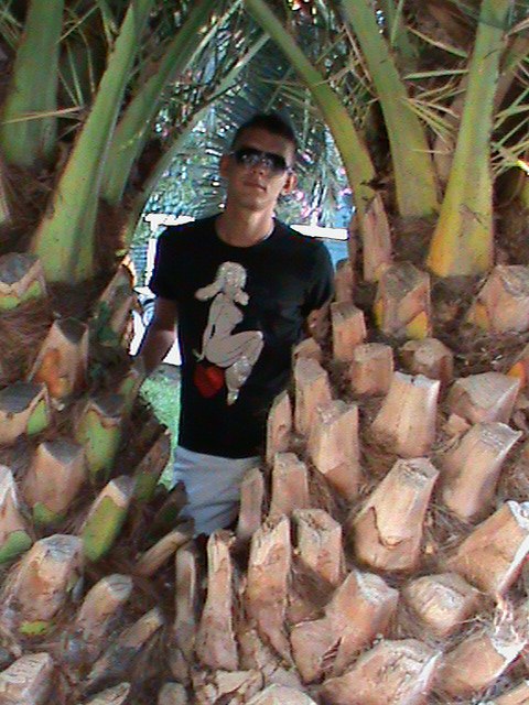 Илья Хороший | Tijuana