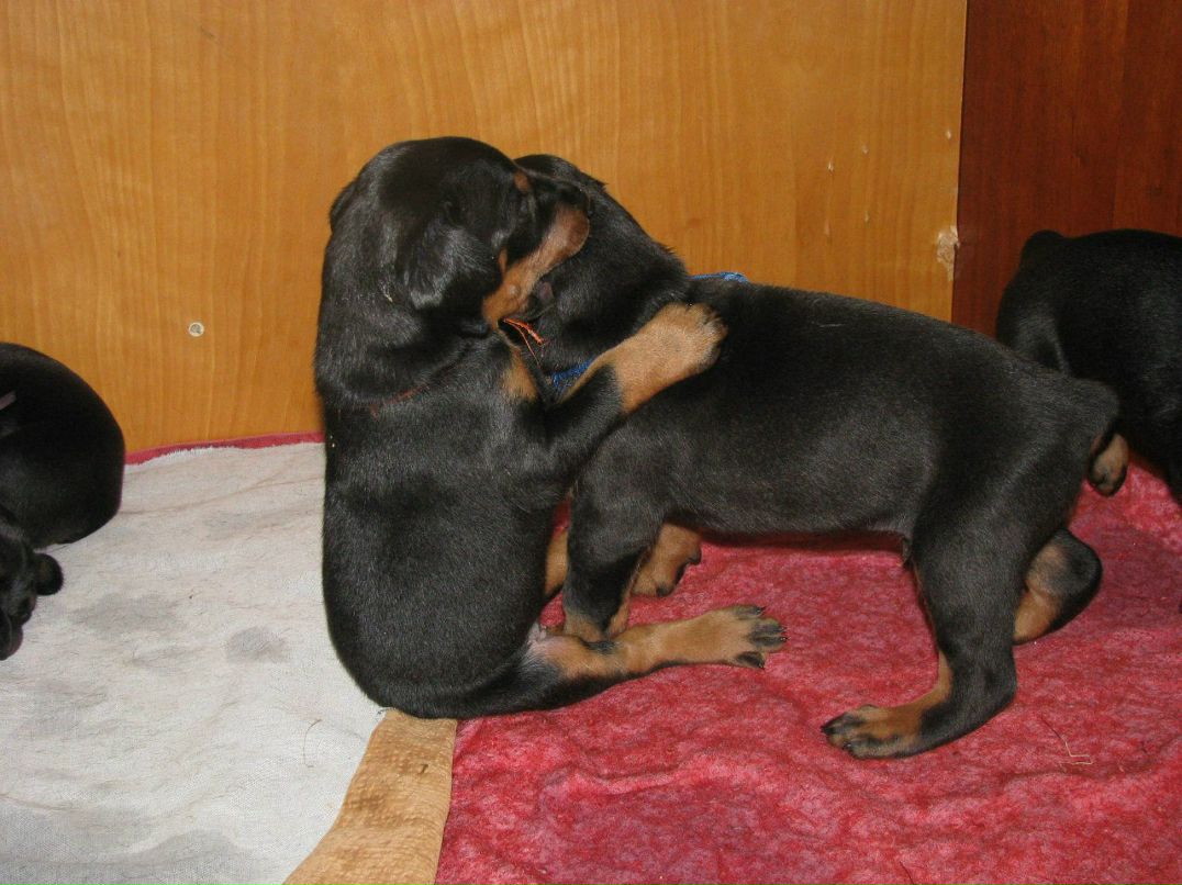 Ирина Ефимова | Санкт-Петербург