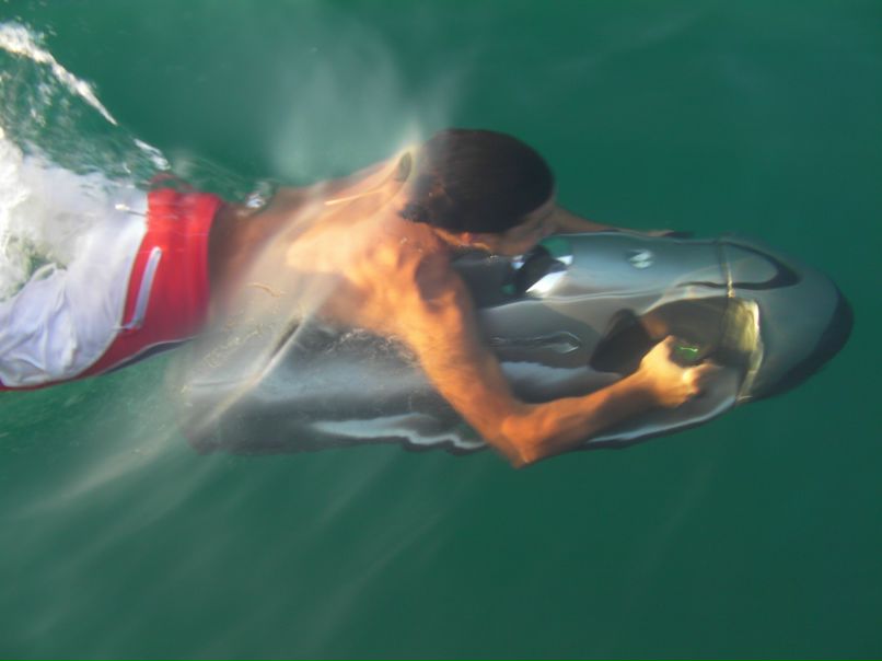 Kemalfaruk Kk | İstanbul