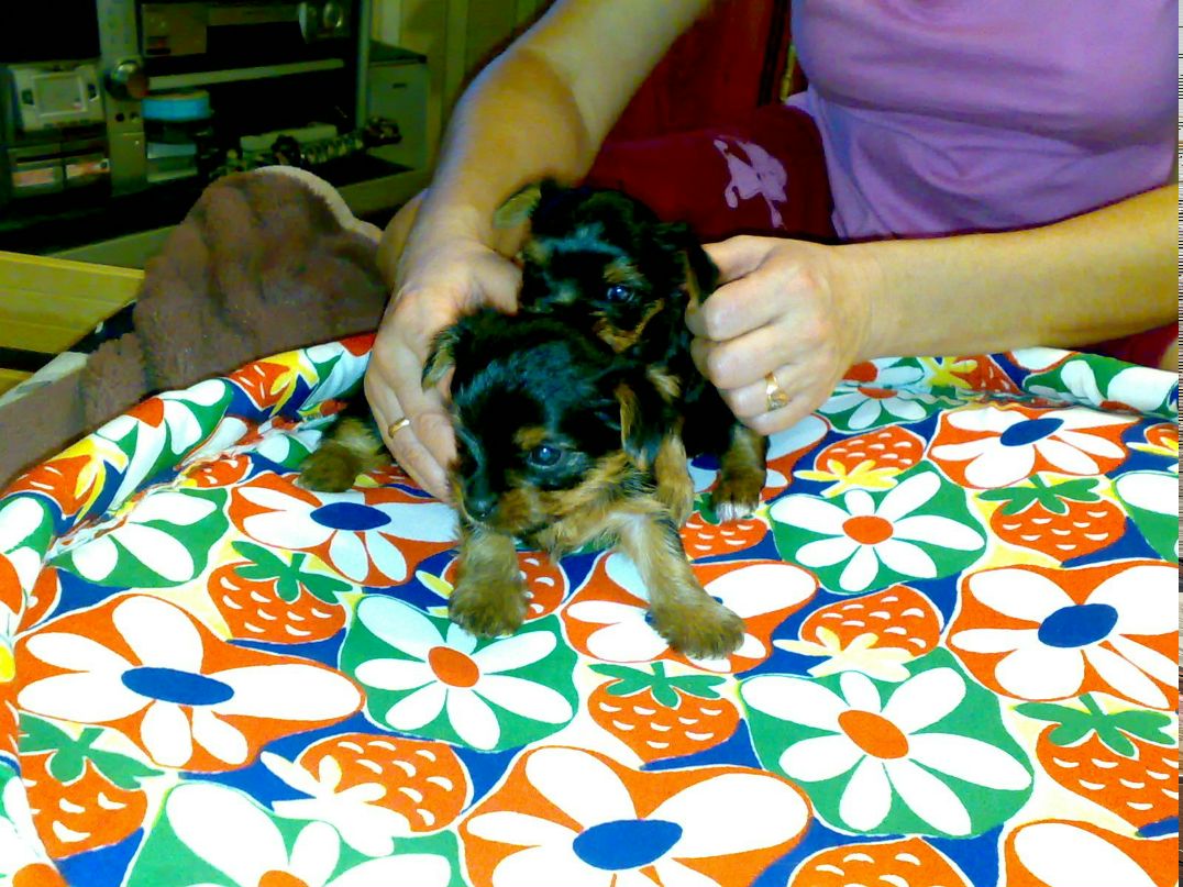 Андрей Изюмов | Нижний Новгород