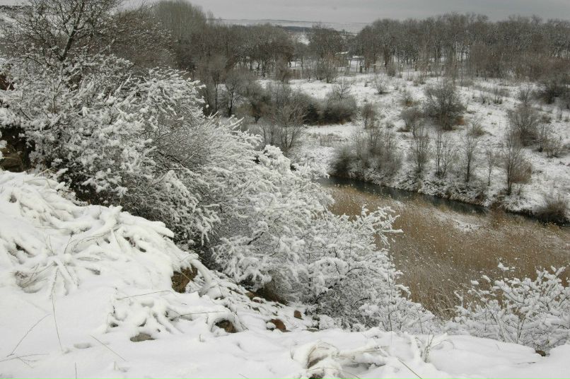 Светлана Шестова | Донецк