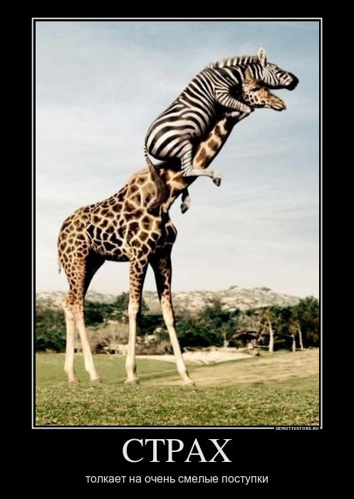 Ольга Дубровина | 