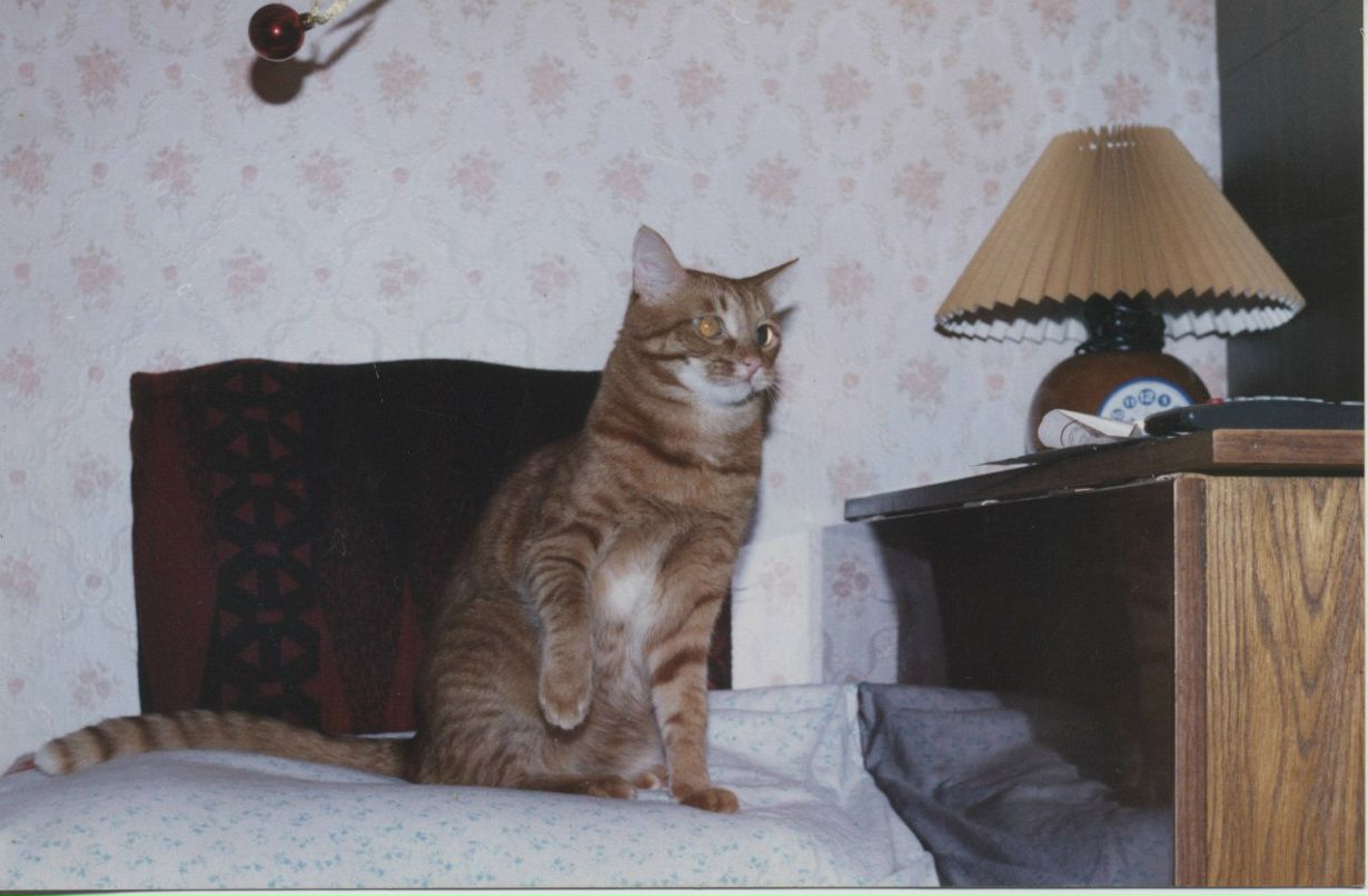 Алексей Захаров | Нижний Новгород