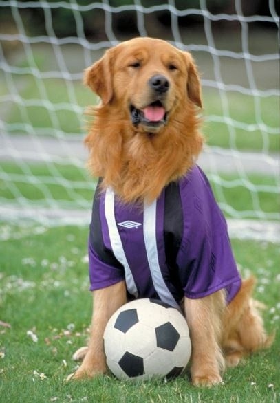 Олег Самарин | Санкт-Петербург