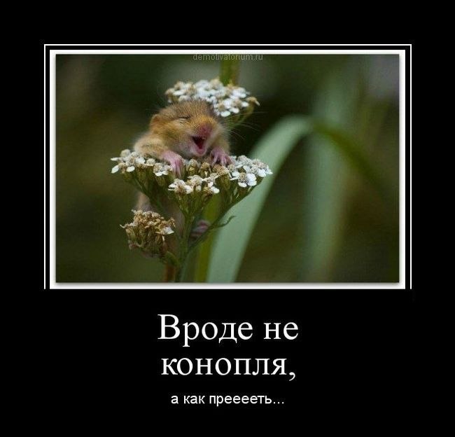 Леонид Могилин | Казань