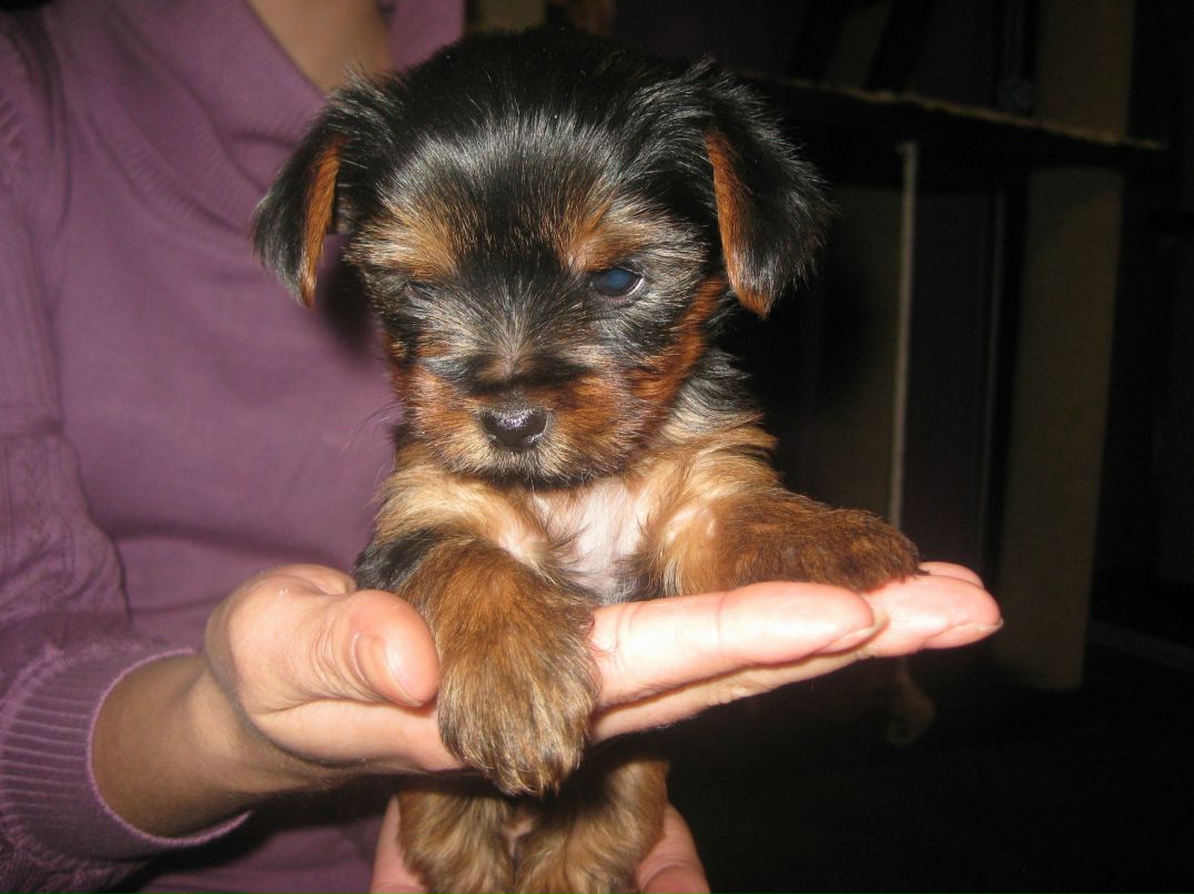 Ирина Иринина | Тюмень