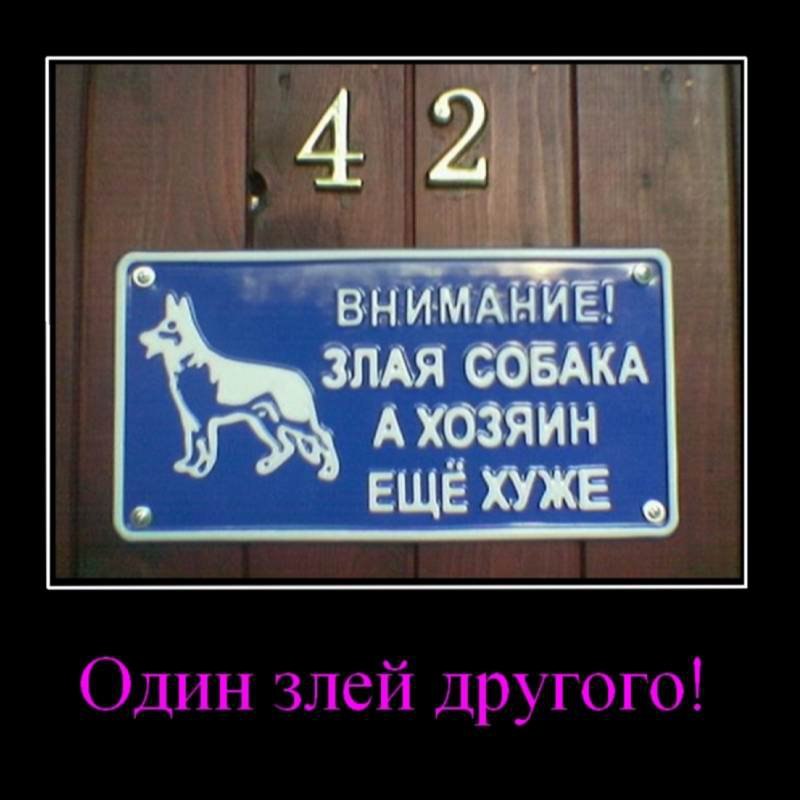 Алексей Казаков | Казань