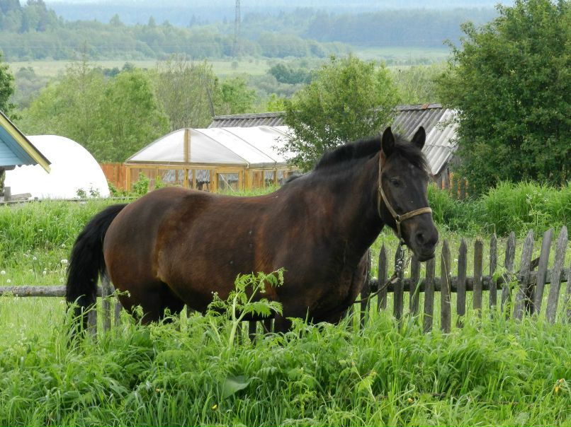 Юра Киркин | Кичменгский Городок