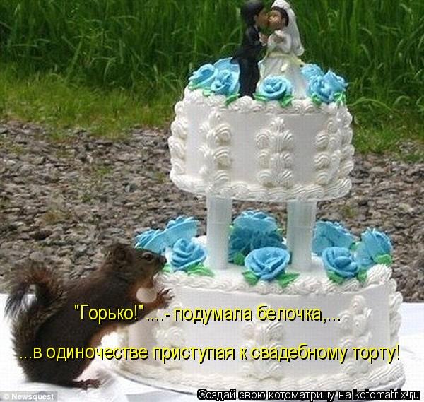 №2, Даша-Даськин Мархель №2, Даша-Даськин Мархель