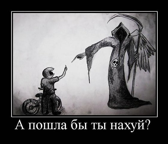 Бодя Галецький Аміго | Львов