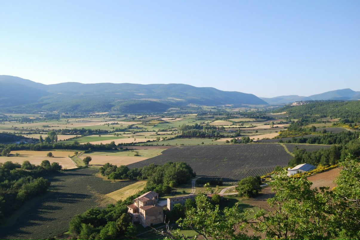 Оля Панина | Москва