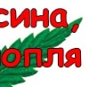Семён Лонский, 35 лет, Могилёв, Беларусь, 14.09.1989