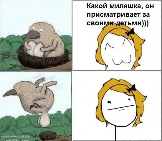 Stas Sarzhevskii | Минск