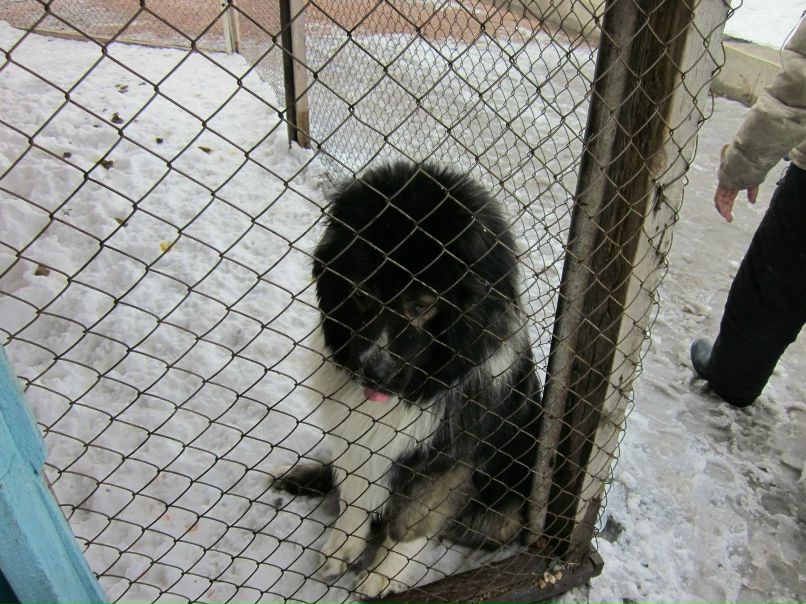 Ольга Сурма | Астана / Нур-Султан