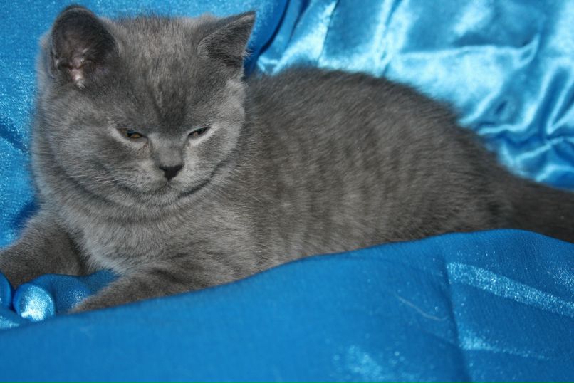 Александра Морозова | Кондопога