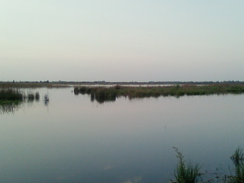 Андрей Шуляк | Киев