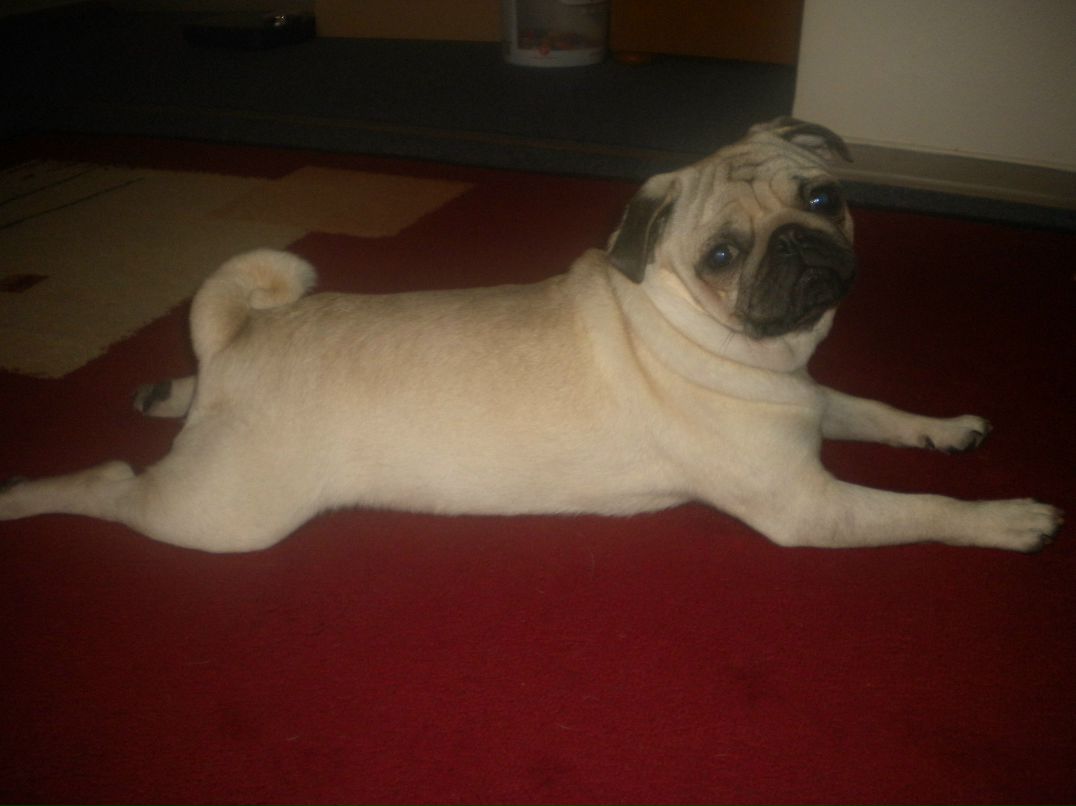 Анна Селиванская | Киев