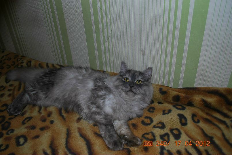 Анастасия Федулова | Саратов