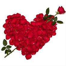 Ольга Френза | Кропивницкий / Кировоград