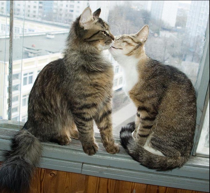 Ирина Ханенко | Набережные Челны