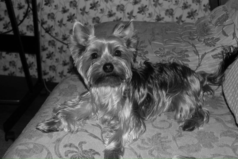 Екатерина Королева | 